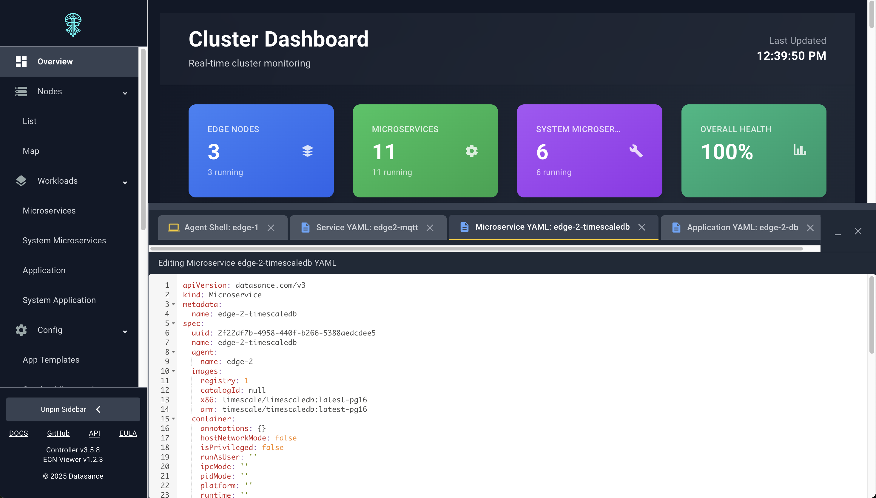 Interactive terminal attached to a workload container