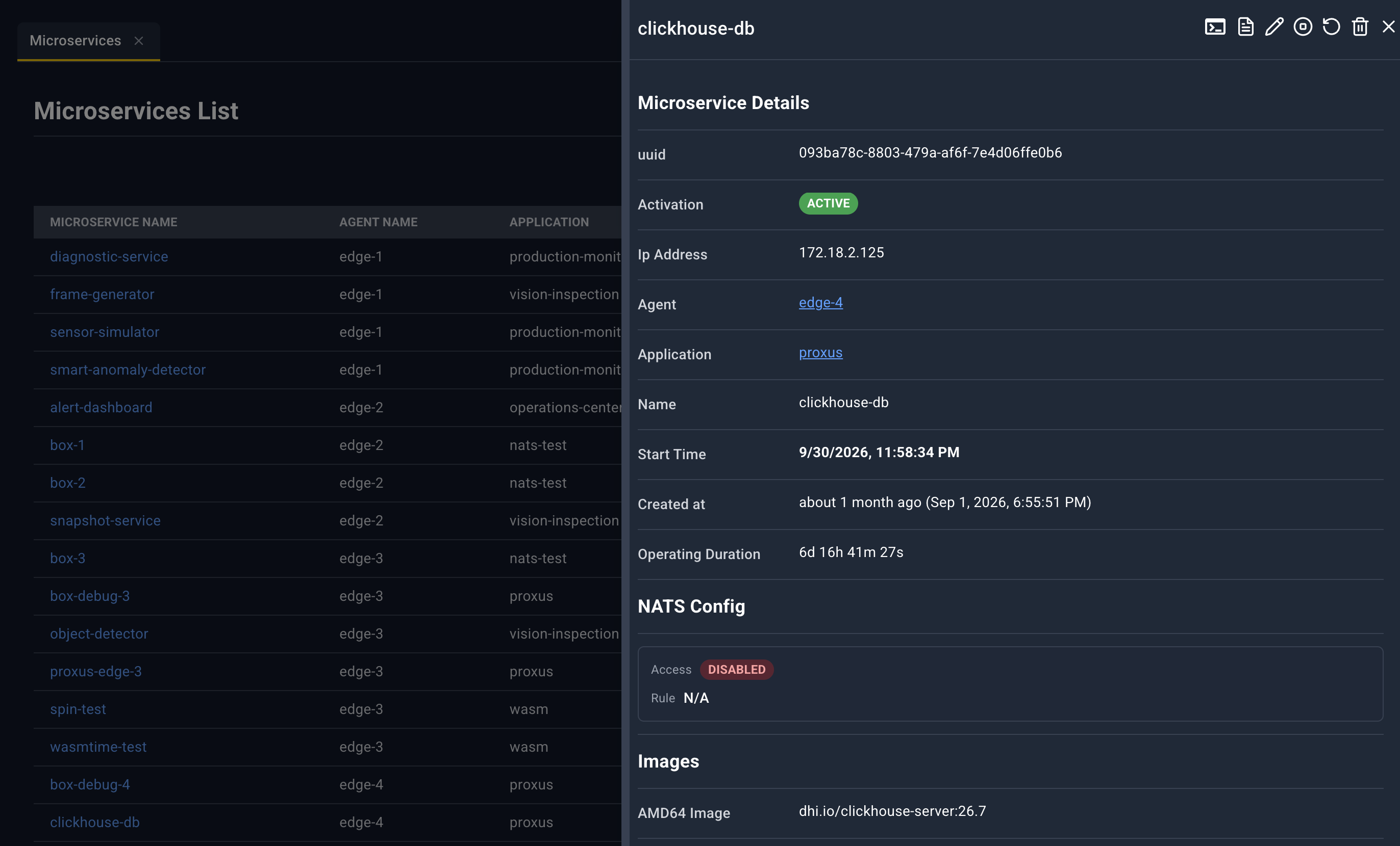 Microservice detail